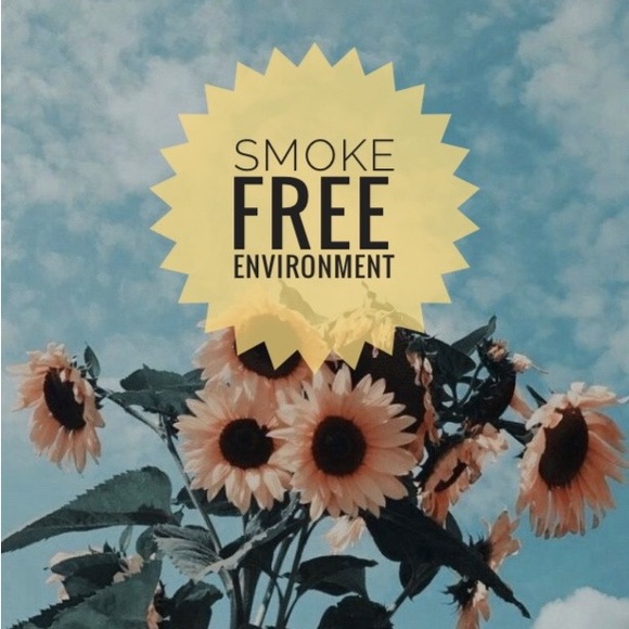 Meet your Posher, Coco!! - Picture 3 of 4